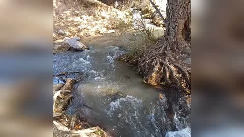 Beautiful mountain river