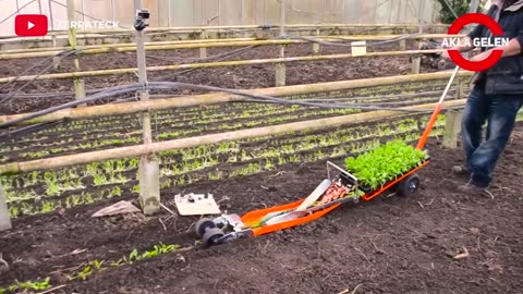 This Man's Shocking Farming Technique is Worth Seeing...