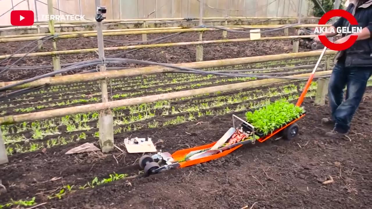 This Man's Shocking Farming Technique is Worth Seeing...