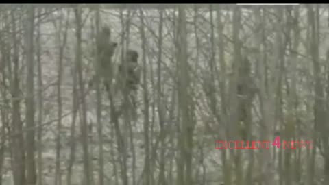 Russian troops are roaming the forests of Ukraine