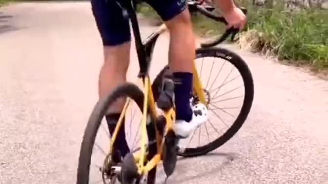 joy of riding