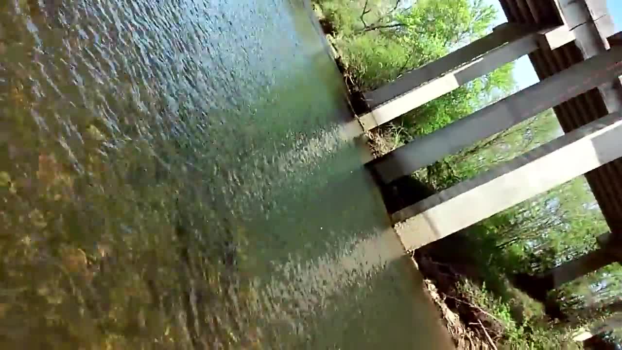 Bows on the Toccoa River