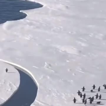 Never — Give — Up