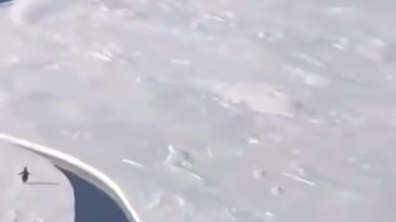 Never — Give — Up