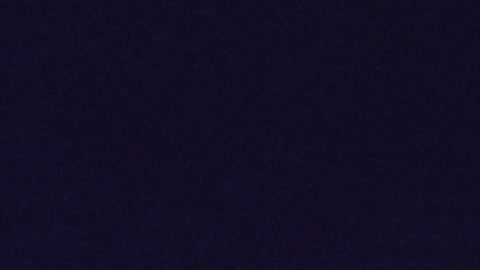 Happy 4th of July everyone