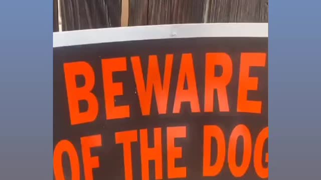 Be aware the dogs