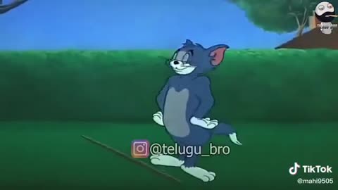 Tom & jerry funny video