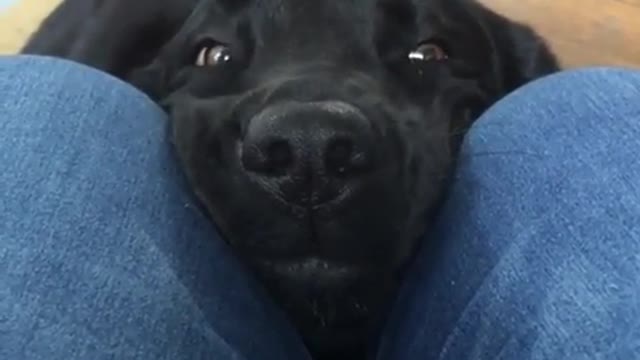 Boop once for happiness