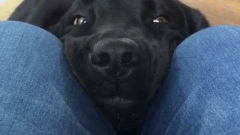 Boop once for happiness