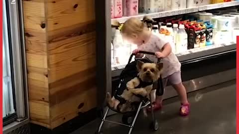 In The Genes- Dogs And Babies