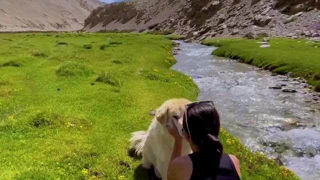 Ladakh is not only about the view and the beauty but also them furry babies too💕🐶