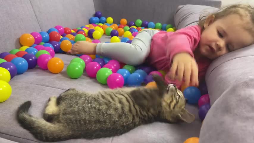 Funny_Reaction_of_Baby_and_Kitten_to_Colored_Balls