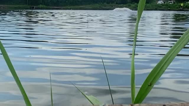 shore scenery