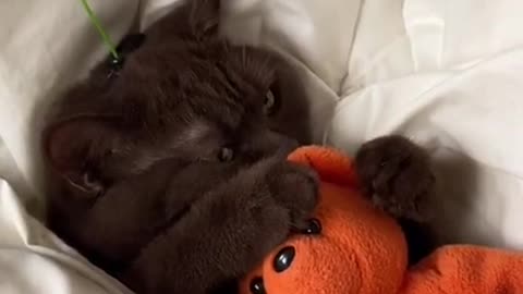 It's time to go to bed