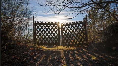 The Lion's Table: Entering Through the Narrow Gate
