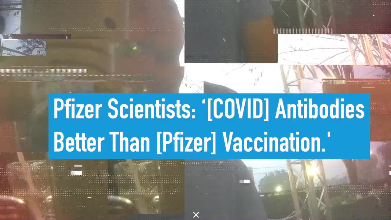 Project Veritas: Pfizer Scientists Say Natural Immunity Better Than Vaccines