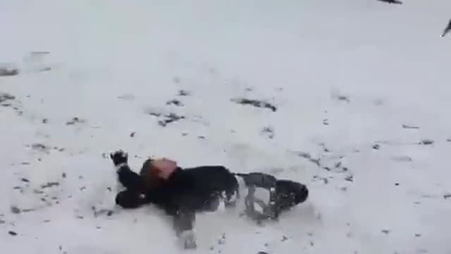 Snowboard flip while drunk