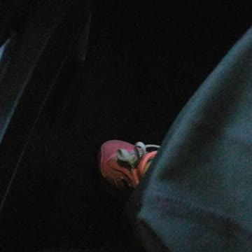 Guns Are Gone At Academy