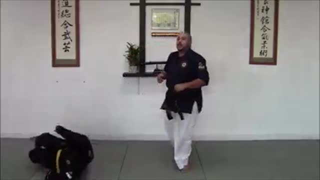 Aiki Jitsu