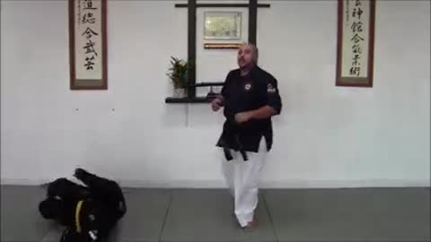 Aiki Jitsu