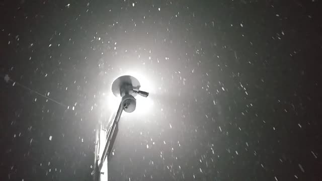 Snow reflected by the light