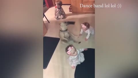 Dog funny