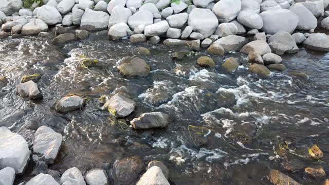 Brook