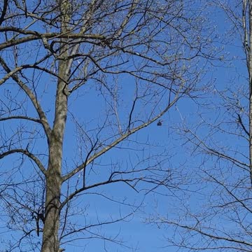 When Your In The Flight Path