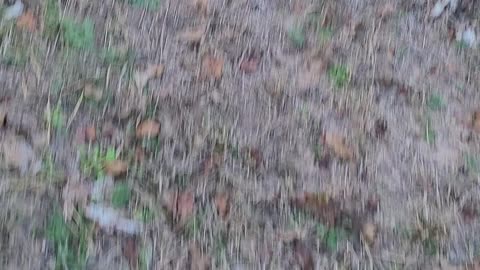 Talk about current events