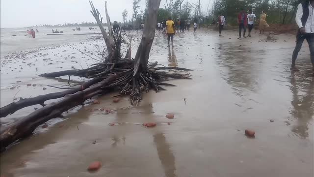 Beautiful nature outside in India