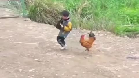 baby and chicken fight