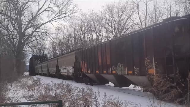 Ithaca Central Railroad "Salt" Train From Cargill & Woman's Dog :)