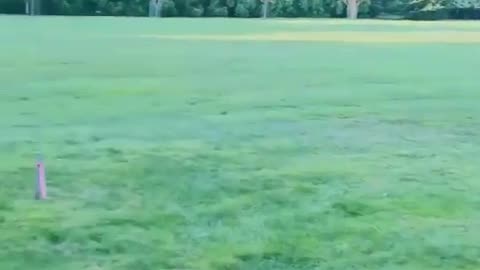 20180806文贵先生视频¹：晚餐朋友的家的入口都这么大！隔壁邻居却是一个中国某政治局委员情人的家！天理何在呀！