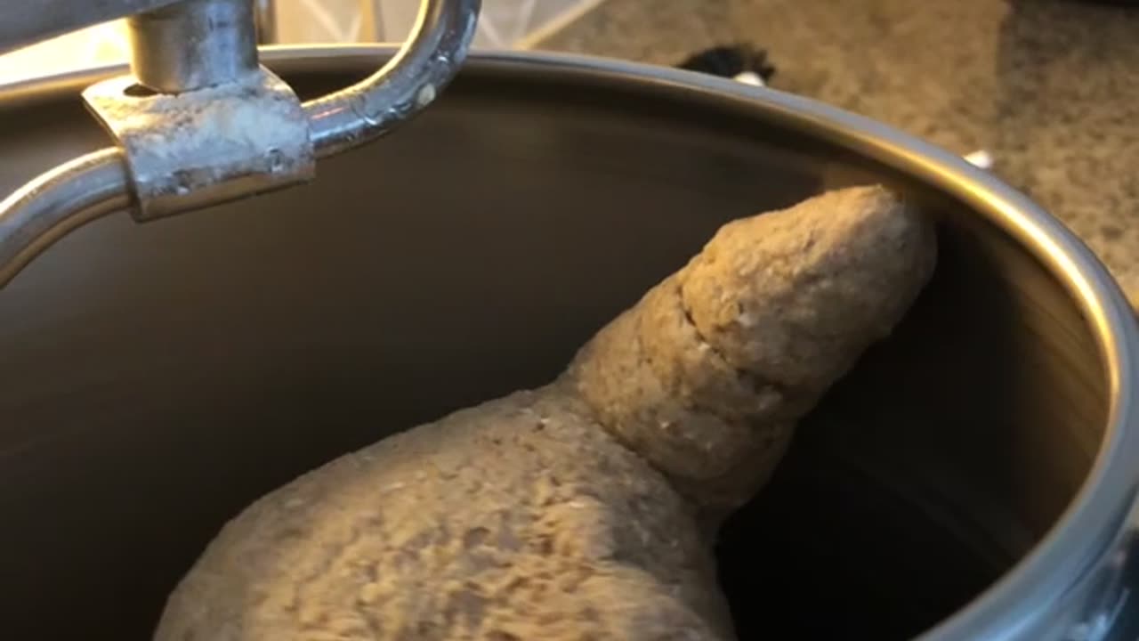 Excited Bread Dough Rises In Mixer