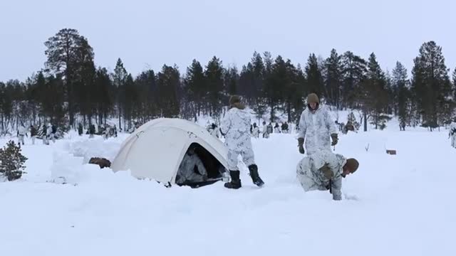 Exercise Cold Response 2022 Training in Norway