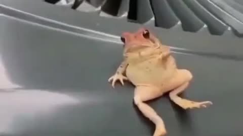 Chillin