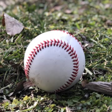 Summer's Song: A Baseball Haiku
