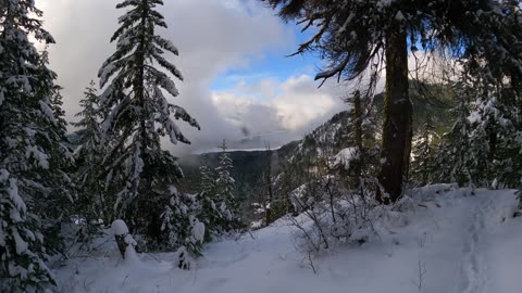 The Undecided Adventure to Miles Overlook, WA