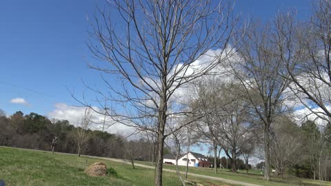 a VEry WinDY dAy (and a falling tripod)