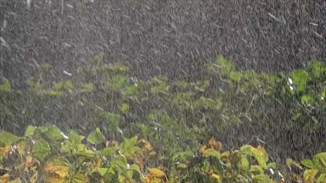 Did you know ???😎