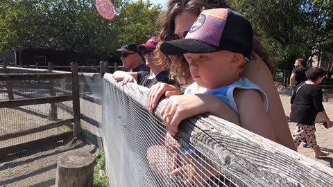 Glenrock Zoo