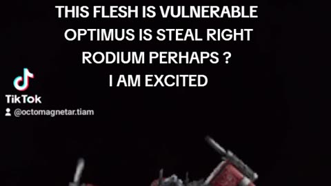 ELON MUSK OPTIMUS