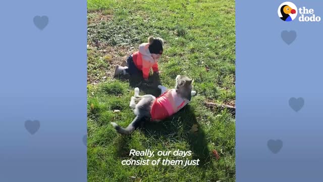 Baby Husky and Baby Girl Grow Up Together and Do Everything Together | The Dodo Soulmates