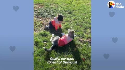 Baby Husky and Baby Girl Grow Up Together and Do Everything Together | The Dodo Soulmates