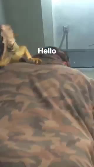 Man in camouflage with giant lizard on his shoulder