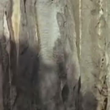 Special mountain likes a prick