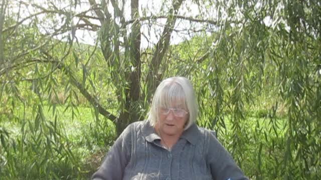 TALES FROM UNDER THE TREES