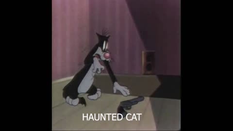 HAUNTED CAT