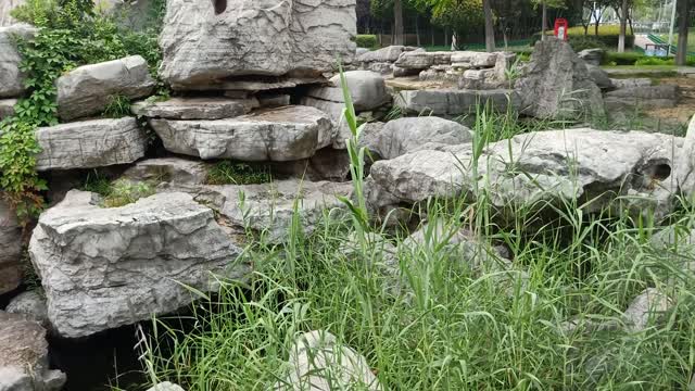 This rockery is really beautiful