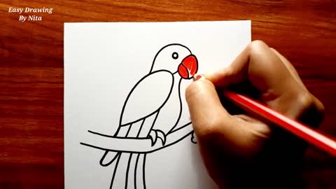 How To Draw Parrot For Beginners -- Parrot Drawing Colour -- Parrot Drawing Tutorial -- Bird Drawing